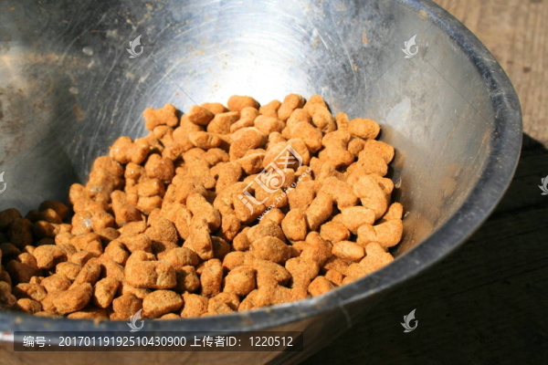 狗食