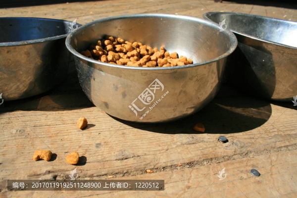 狗食
