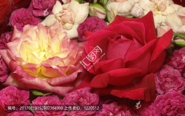 情人節(jié)的玫瑰的花束