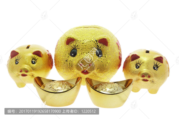 金小豬銀行