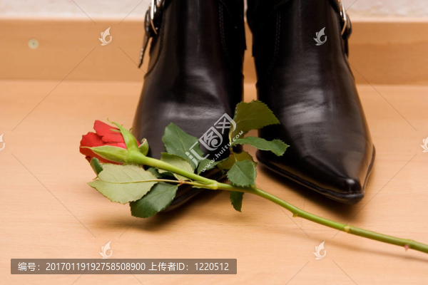 紅玫瑰躺在BLA
