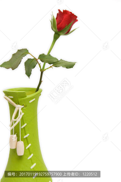 紅玫瑰與分離