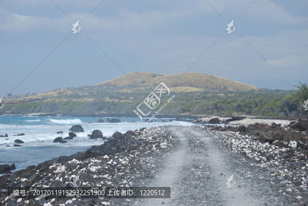 夏威夷海岸