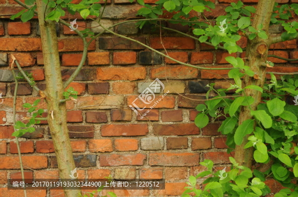 Wall,102