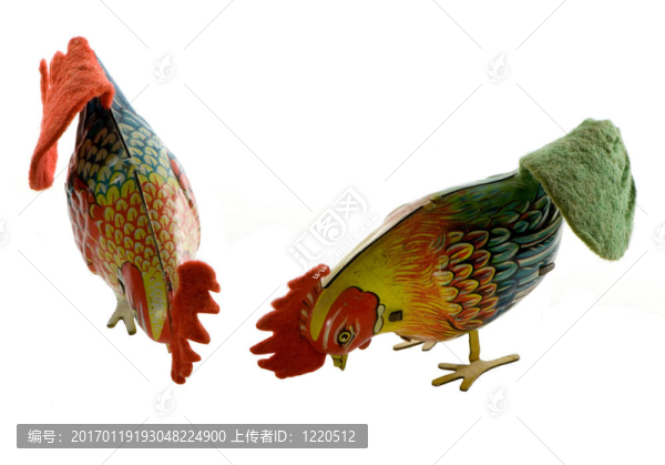 對(duì)母雞