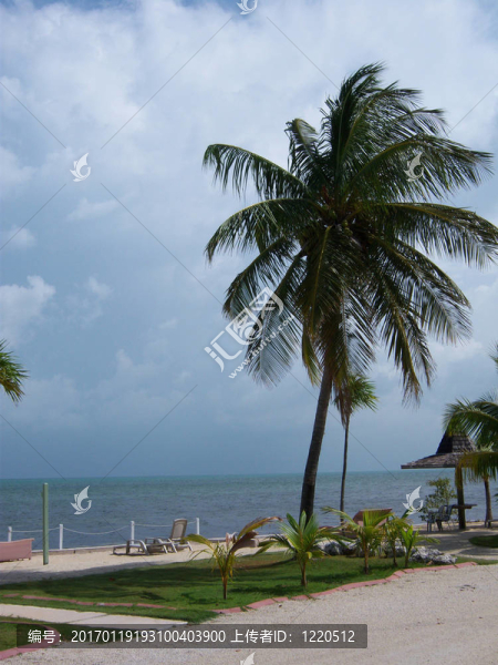 手掌在鑰匙-匯圖網(wǎng) www.fosd68.com 手掌在鑰匙