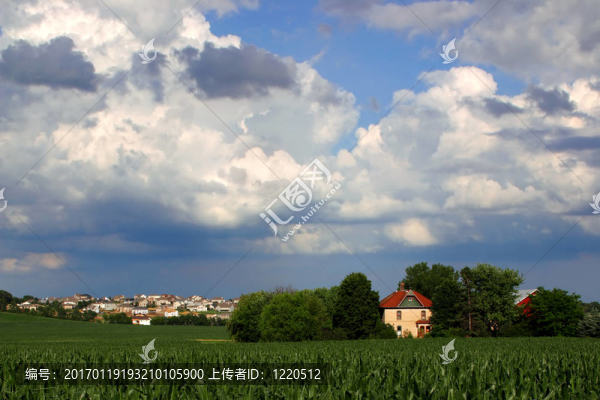 消失的農(nóng)田（玉米地和房子的住宅開發(fā)）