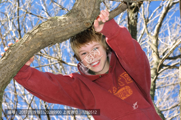 男孩爬上樹(shù)-匯圖網(wǎng) www.fosd68.com 男孩爬上樹(shù)