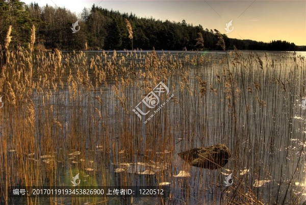 一個(gè)湖
