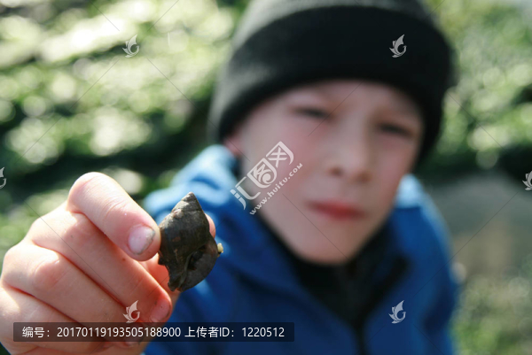 在海灘上的男孩展示了一個貝殼蟹