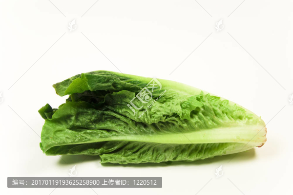 新鮮有機嬰兒生菜白色背景