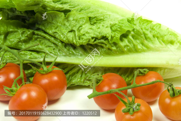 生菜和番茄