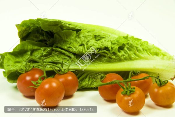 生菜和番茄