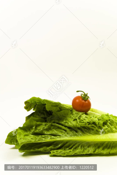 生菜和番茄