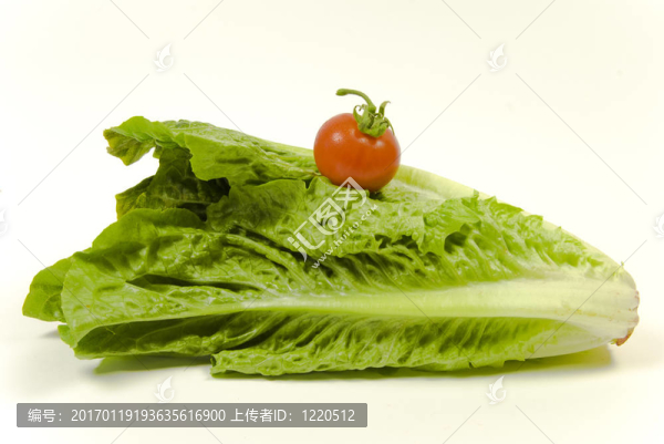 生菜和番茄
