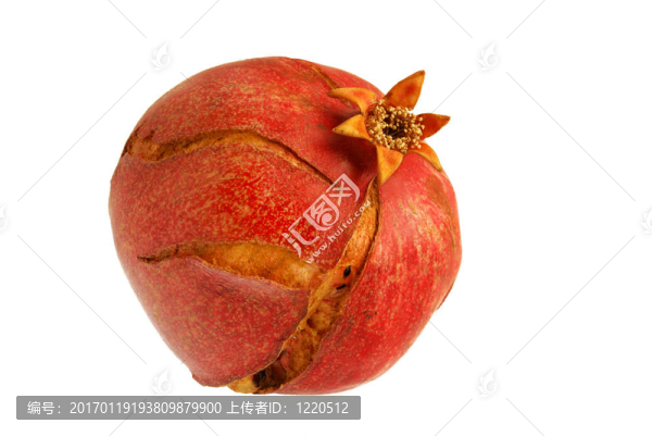 白底上的石榴紅石榴