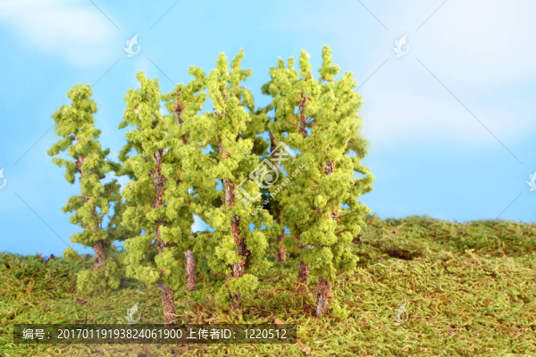 微型人造樹