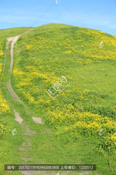 山間的小路