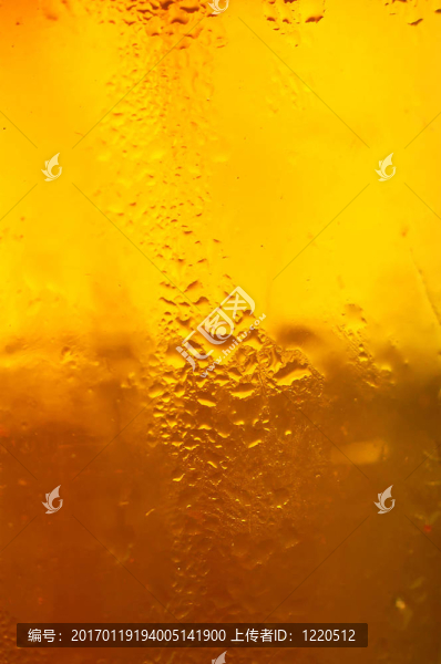杯啤酒