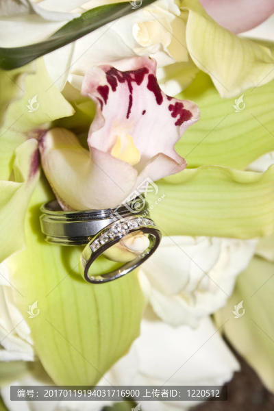 開花的結(jié)婚戒指