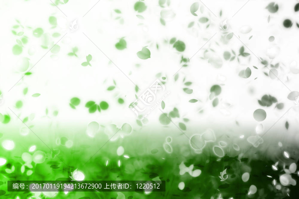 懷舊的甜蜜回憶飄落的樹(shù)葉