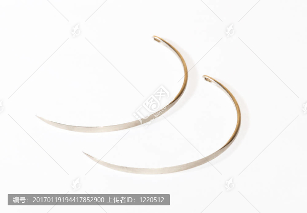 大動物手術(shù)針