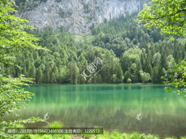 frillensee