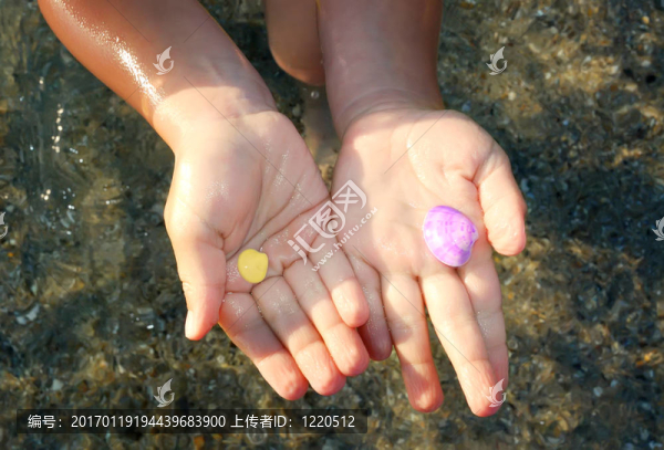 貝殼在手