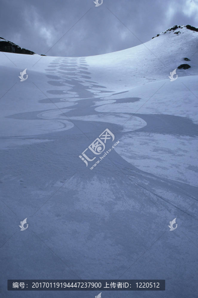 在科羅娜啤酒槽黑梳山滑雪道