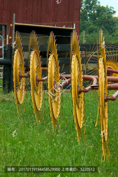 干草2-匯圖網(wǎng) www.fosd68.com 干草2