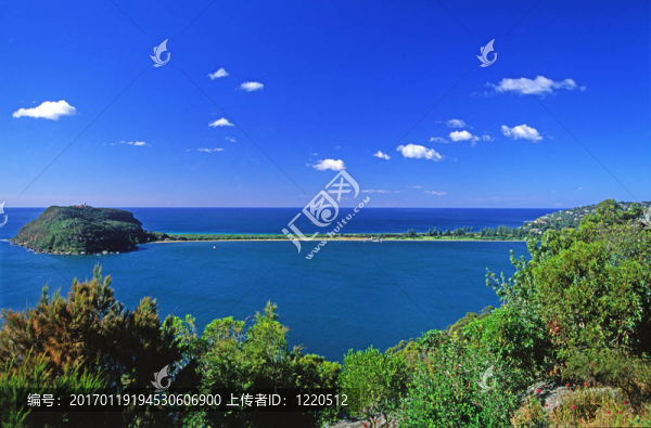 棕櫚灘半島。