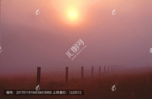 Misty,Fenceline。