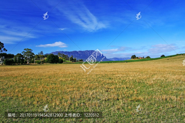 山地。