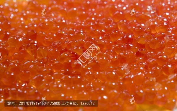 紅魚子醬