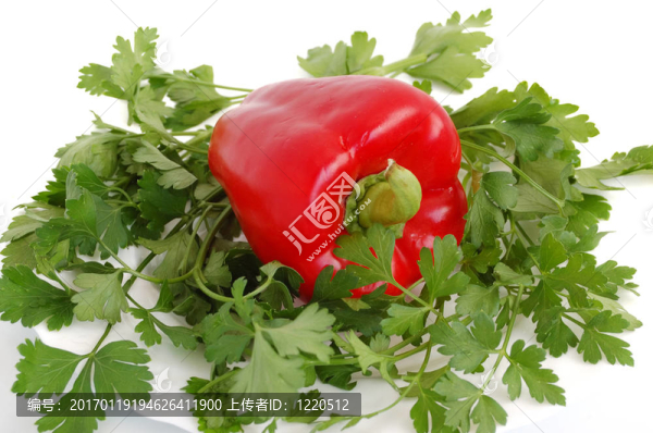 辣椒粉-匯圖網(wǎng) www.fosd68.com 辣椒粉