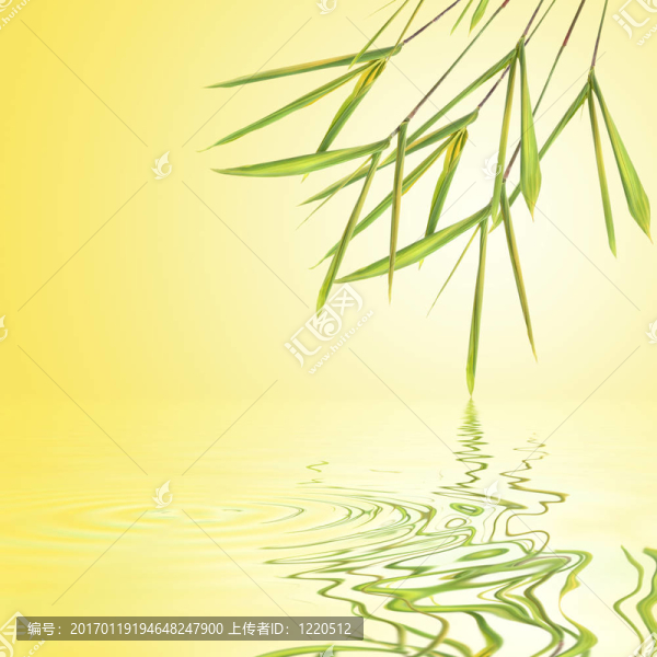 竹葉草美