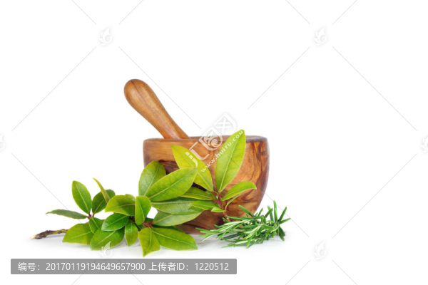 迷迭香和月桂樹葉