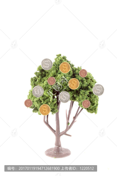 樹上生長的錢