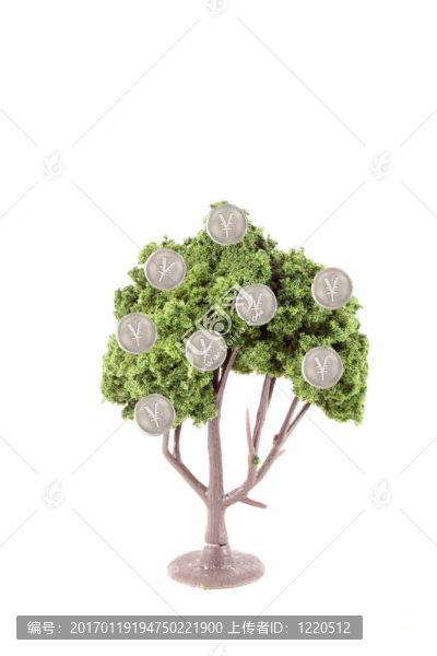 樹上生長的錢