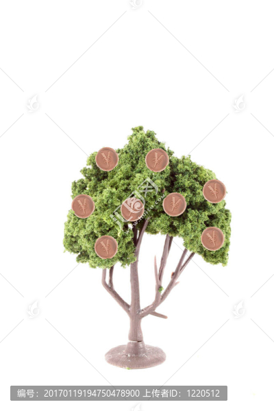 樹上生長(zhǎng)的錢