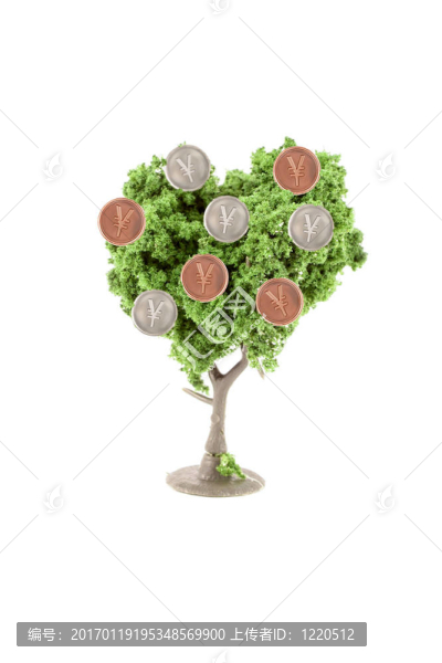 樹上生長的錢
