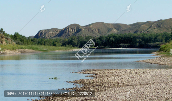 Cottonwoods；老人河和深谷（谷結(jié)構(gòu)；美的名字）