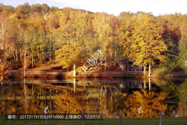 秋天的思考。利穆贊大區(qū)；法國(guó)。