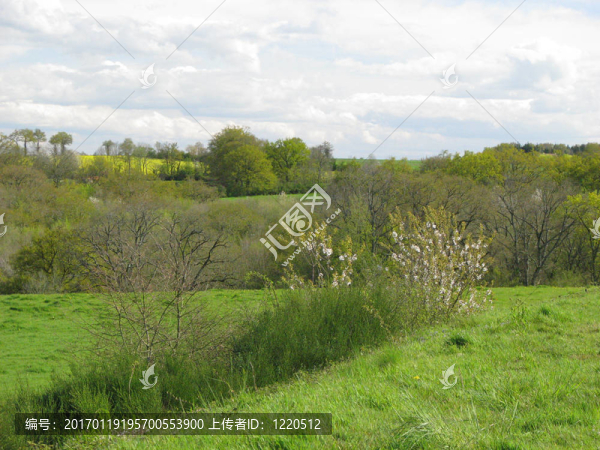 農(nóng)村；安德爾?。籅erry