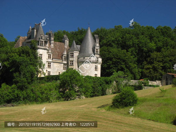 城堡puyguilhem
