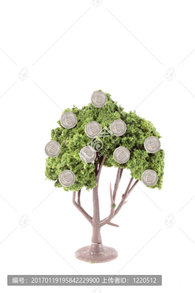 樹上生長的錢