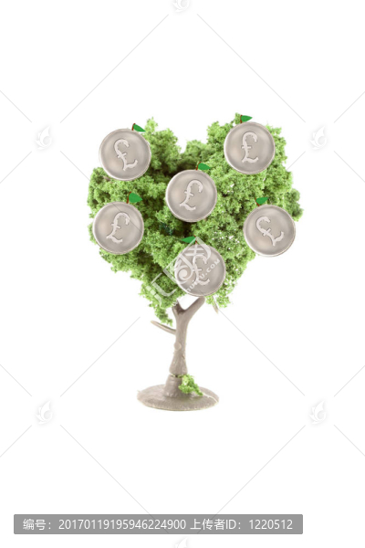 樹上生長的錢