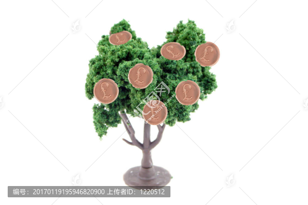 樹上生長的錢