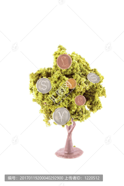 樹上生長的錢