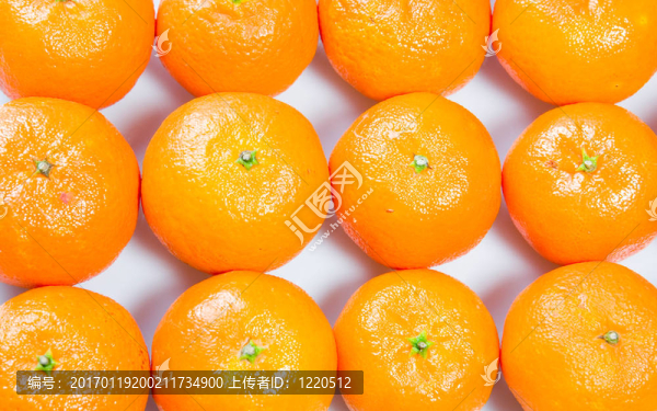 橘子收成時(shí)